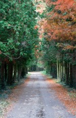 Parcul Bazos