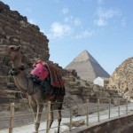 Cairo – Gizah – Sakkara – Memphis – Aswan – Abu Simbel – Kom Ombo – Edfu – Luxor – Karnak – Hurghada