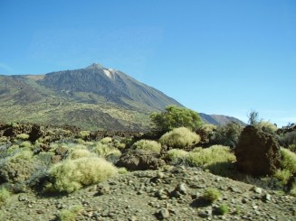 Tenerife, o destinatie exotica