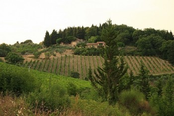 Peisaj toscan in regiunea Chianti, Toscana