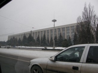 Un oras gri , Chisinaul