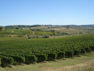 Toscana-Chianti