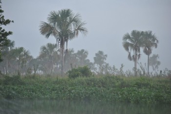 rasarit in delta Orinoco