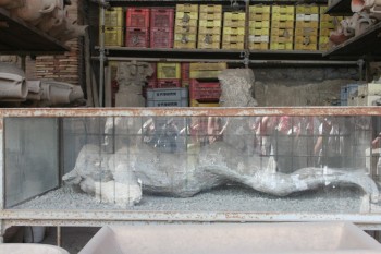 Pompei - orasul ingropat de cenusa Vezuviului
