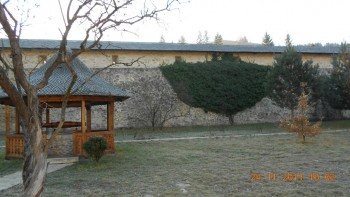 Manastirea Sucevita-iedera pe zidul manastirii