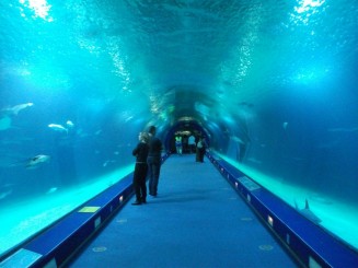 Valencia-Oceanografic, tunel