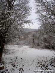 Iarna ca-n povesti (In Cheile Madei)