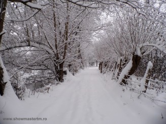 Iarna ca-n povesti (In Cheile Madei)