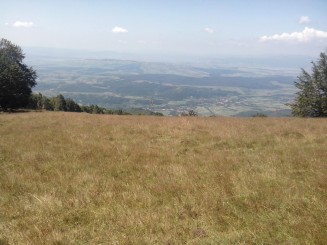 Vedere de pe dealul Prisacai