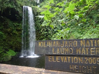 Kilimanjaro - Muntele Sfios