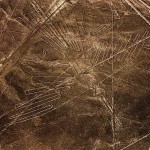 Liniile Nazca - Condor