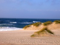 Plaje nisipoase, ierboase, dune de nisip si apa turcoaz, Sylt, Germany