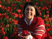 Campuri de maci ca in Italia n-am mai vazut in viata mea