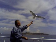 O LUME MINUNATA ATUNCI   CIND COMUNICI CU CEILALTI