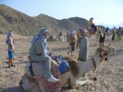 Cu camila prin desert