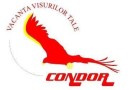 CONDORLINE