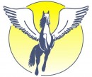 Pegasus International