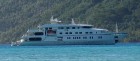 Tu Moana