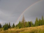 Pe Sestina (Neagra Sarului) in august