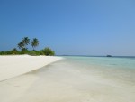 Welcome to paradise