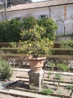 2013 - Roma - Bioparco (Gradina Zoologica)
