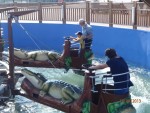 2013 - Istanbul - Vialand