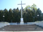 Minunatul Tg Mures