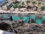 Loro Park