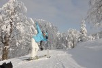 Straja