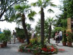 Insula Mainau