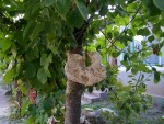 Sederea la Pensiunea La Melci