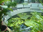 Gradina Botanica Jibou