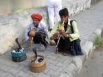 India - Mit şi realitate