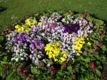 Kew gardens (Londra)