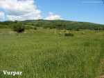 Cetatea Alba renovata/in renovare