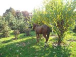 mergand spre centrul orasului...
