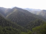 Munţii Troodos - Cipru