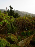 Plimbare prin Gradina Botanica din Soller