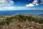 Insula Madeira - flori si drumetii
