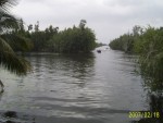 Cuba - Golful Porcilor (Bahia de Cochinos)