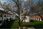 Manastirea Bezdin