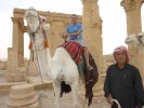 poza Palmyra