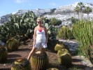 Plantatie de cactusi in Puerto Rico.