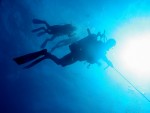 Brazilia - Diving  in Open Water