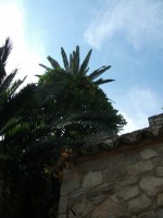 Este bine de stiut-City Break Barcelona