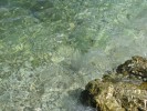 Marea Adriatica