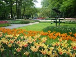 Keukenhof -Grădina Europei, Olanda