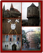 MONUMENT DE ARTA FEUDALA "CASTELUL HUNIAZILOR"