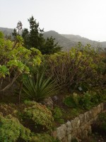 Plimbare prin Gradina Botanica din Soller