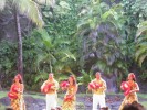 dansatori hawaiiani